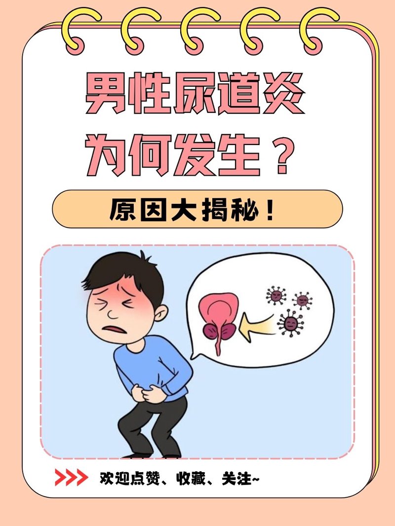 泌尿专科：守护健康，守护未来